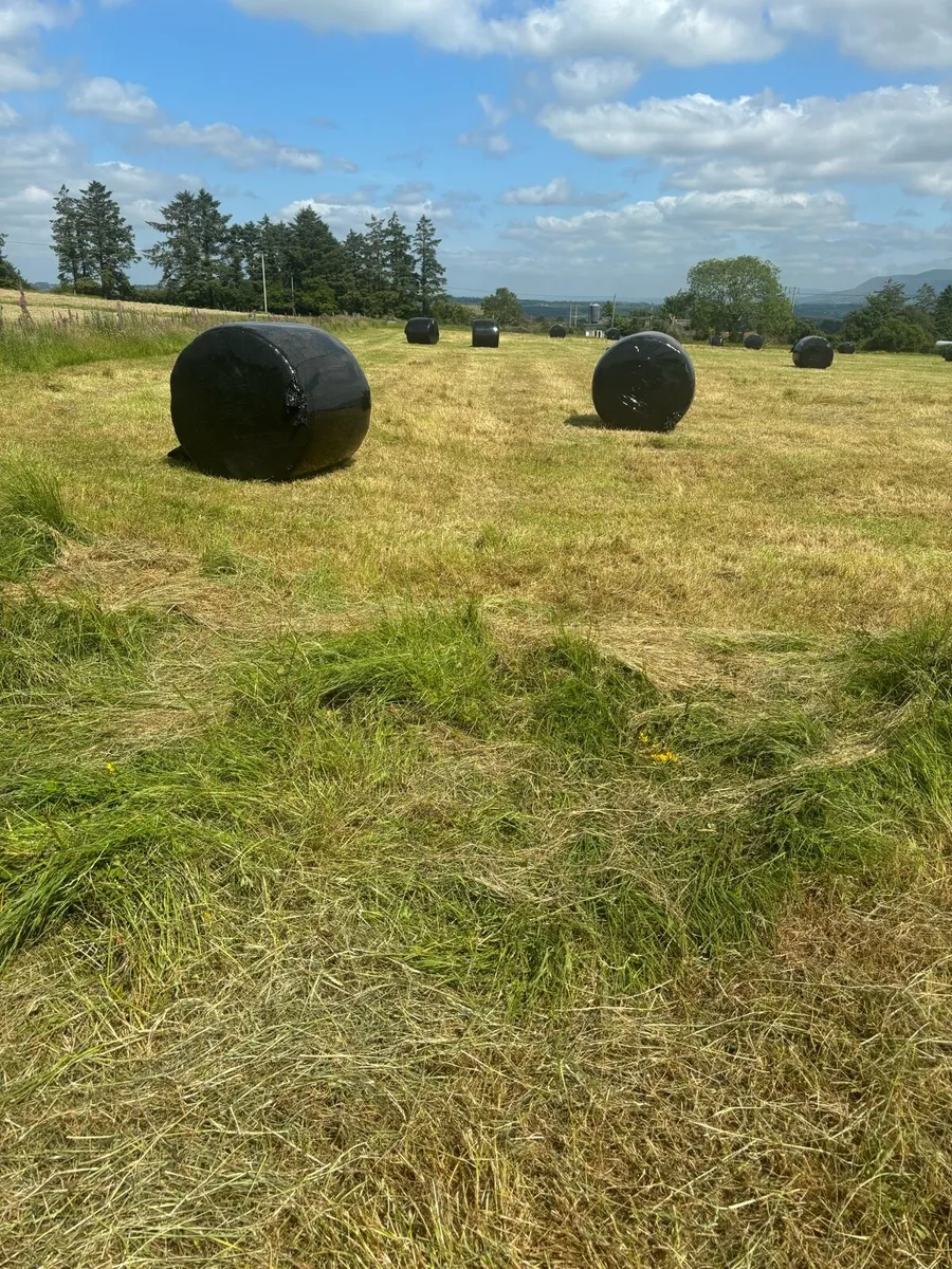 Haylage - Image 2