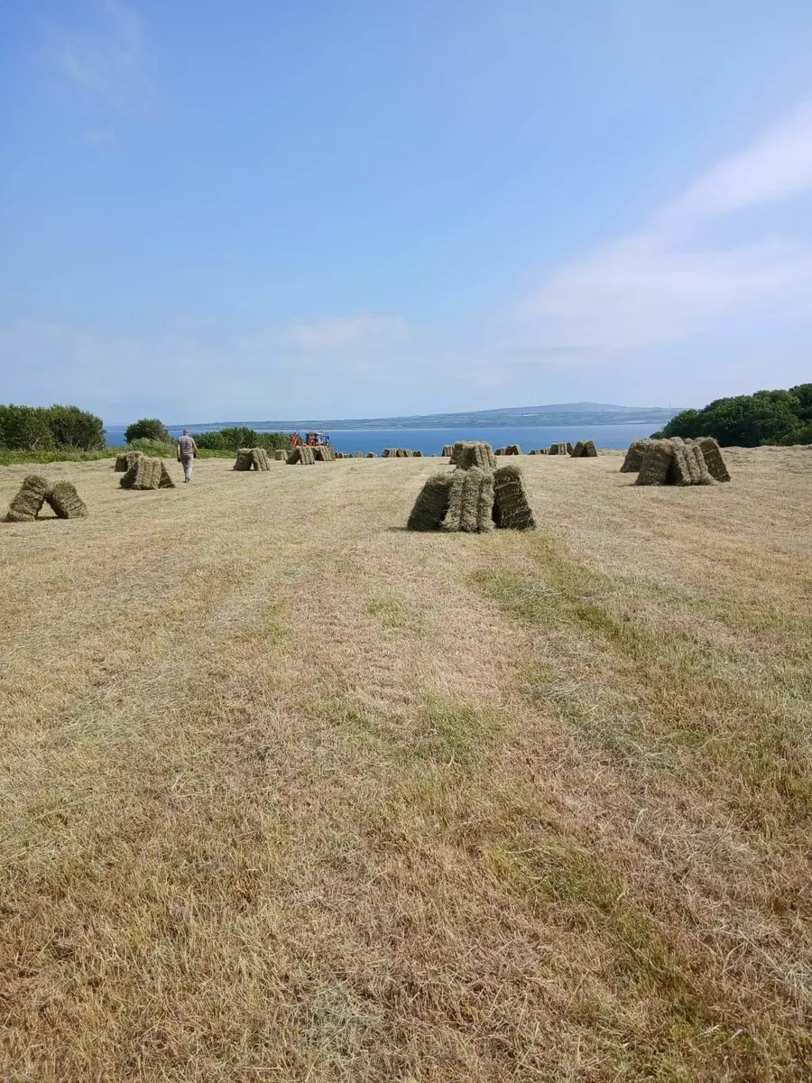 Square and Round bales of hay and plus silage bale - Image 1