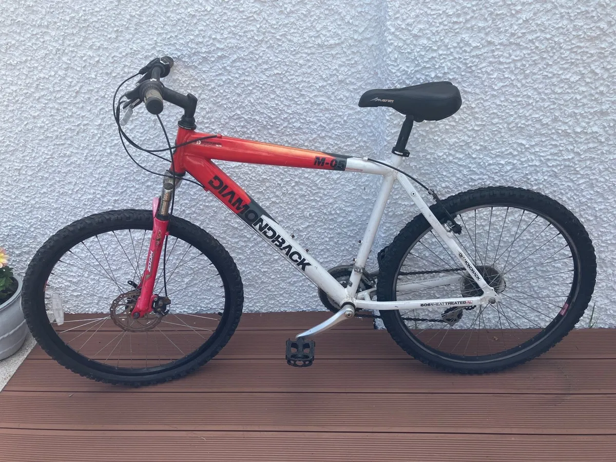 Mountain Bike