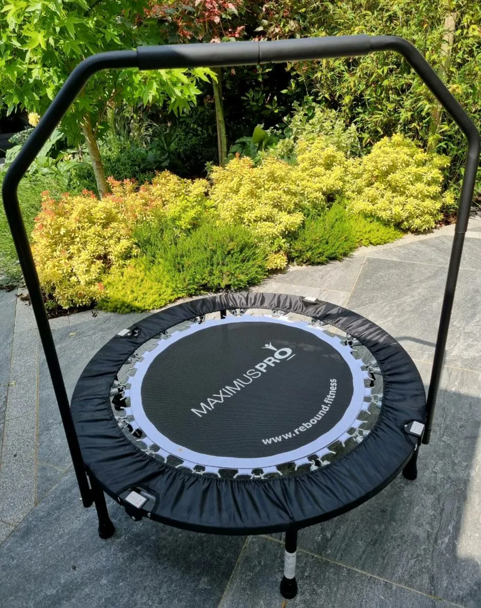 Rebounder Trampoline - Image 1