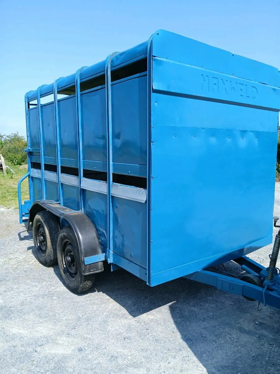 Stock master Cattle or horse trailer 10ft x 5ft. - Image 1