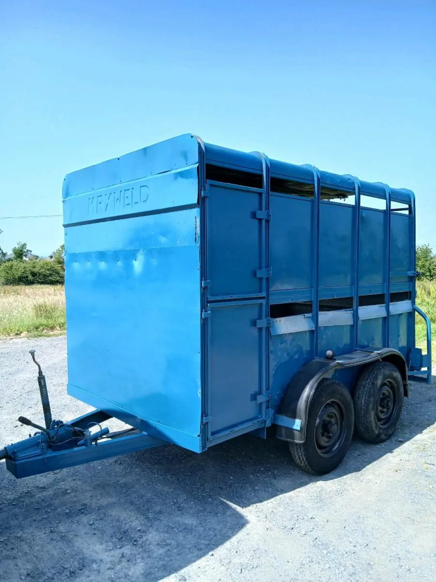 Stock master Cattle or horse trailer 10ft x 5ft. - Image 2