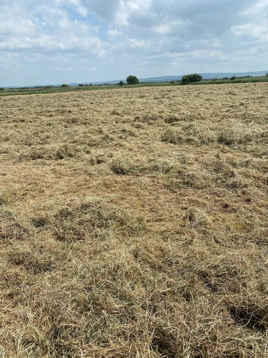 Hay bales - Image 2