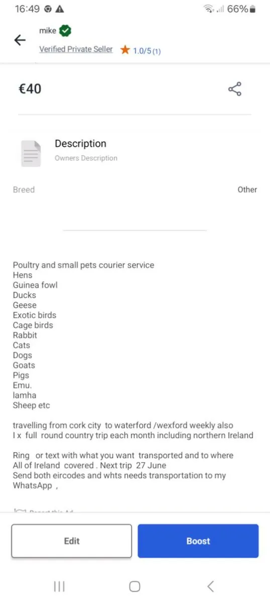 Bird and small animal courier service - Image 2