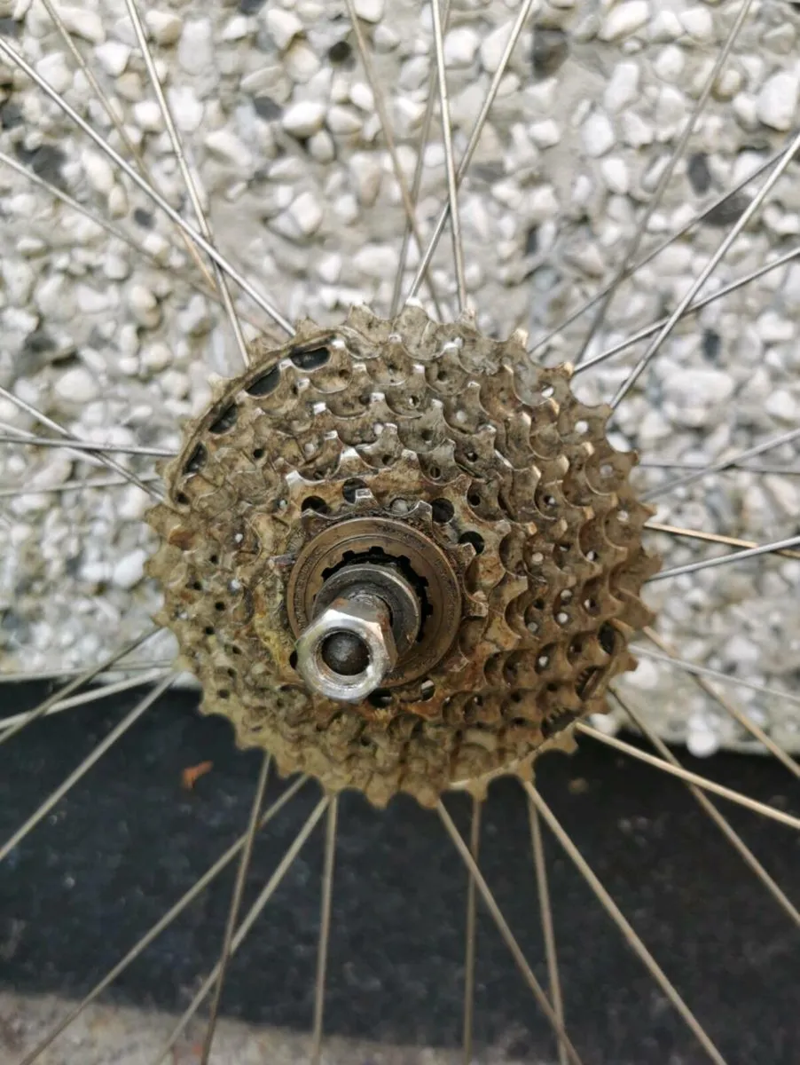 Wheel for bicycle - Image 2