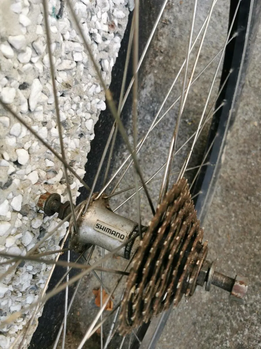 Wheel for bicycle - Image 3