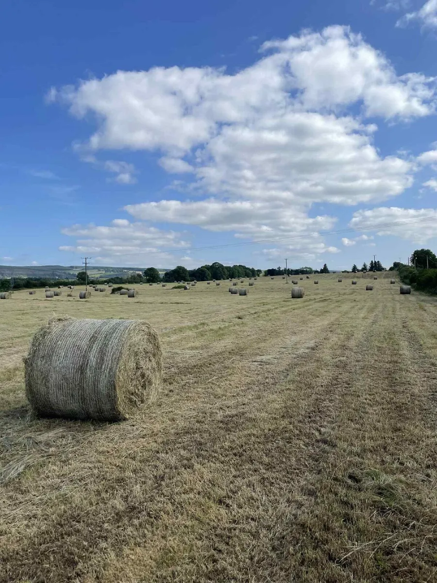 Organic Round Bales of Hay