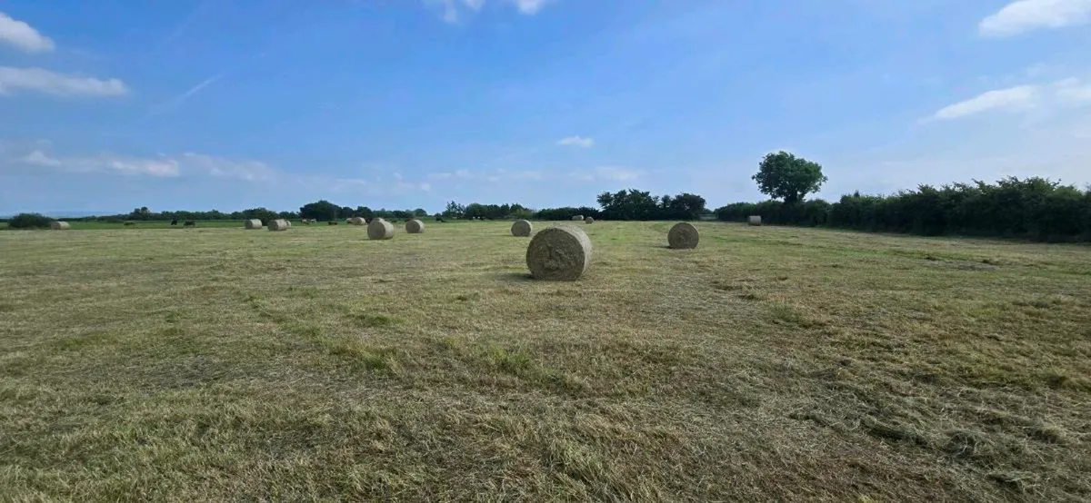 Bales of Hay - Image 3