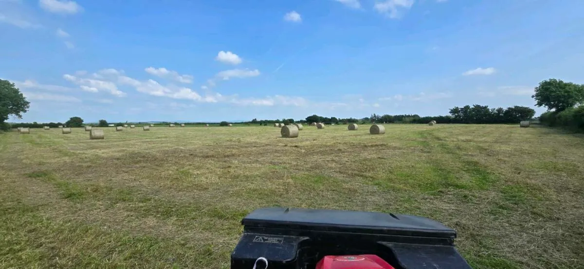Bales of Hay - Image 4