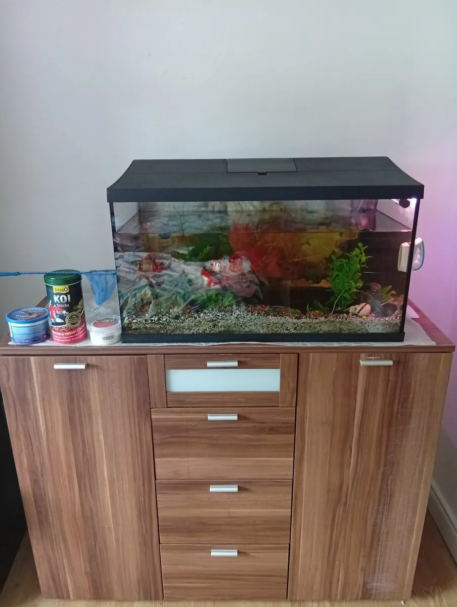 Fish Tank with cabinet full set - Image 2
