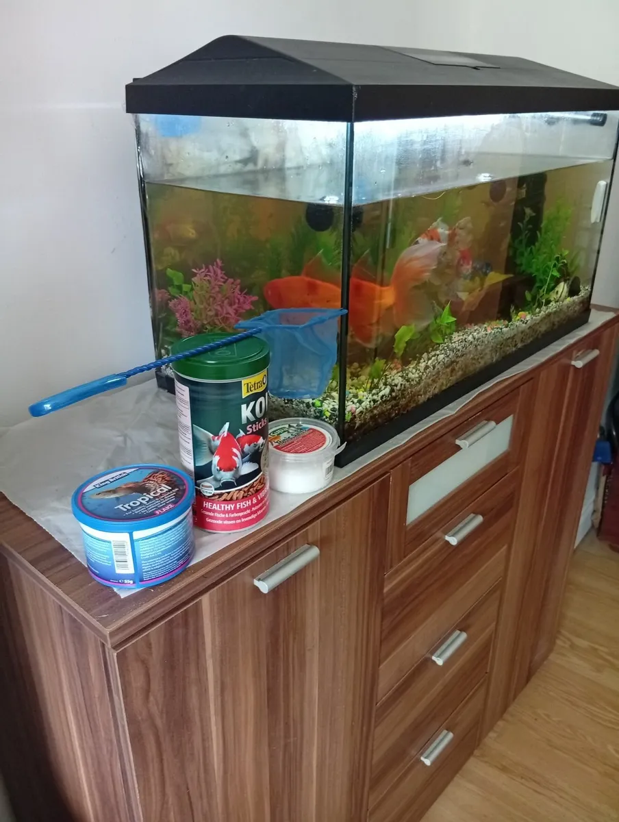 Fish Tank with cabinet full set - Image 3
