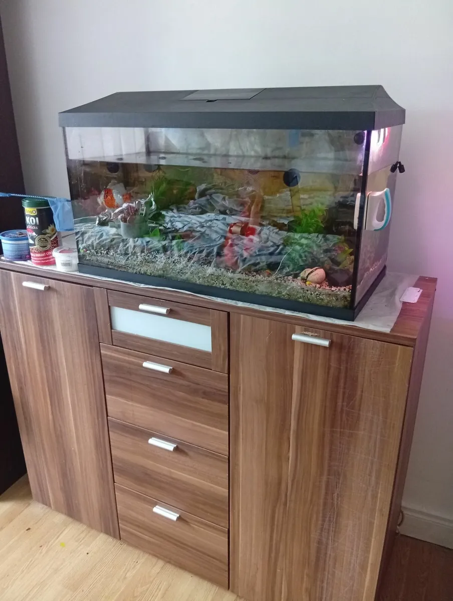 Fish Tank with cabinet full set - Image 4