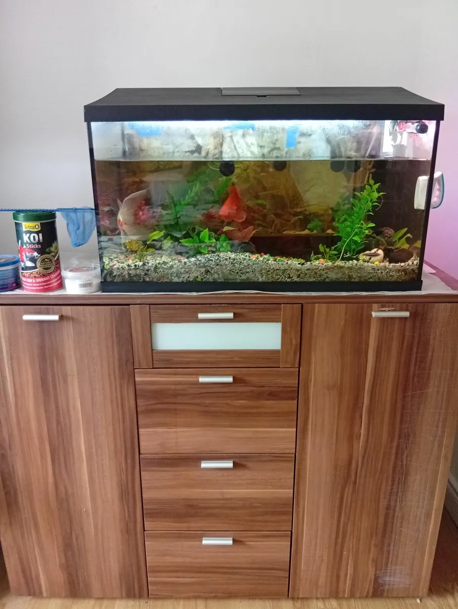 Fish Tank with cabinet full set - Image 1