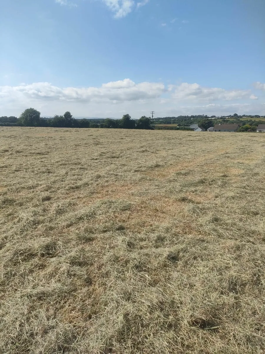 Bales
