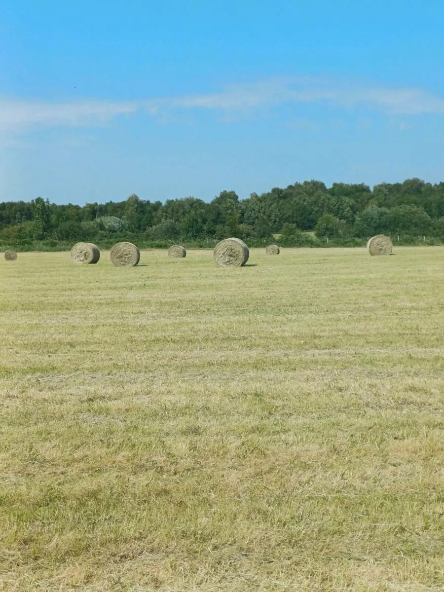 Hay⁹ - Image 1