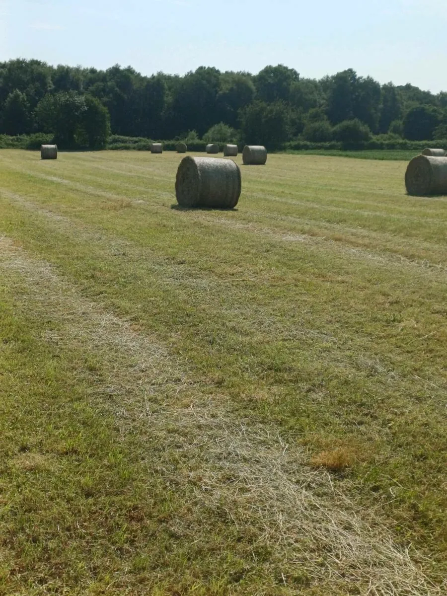 Hay⁹ - Image 3