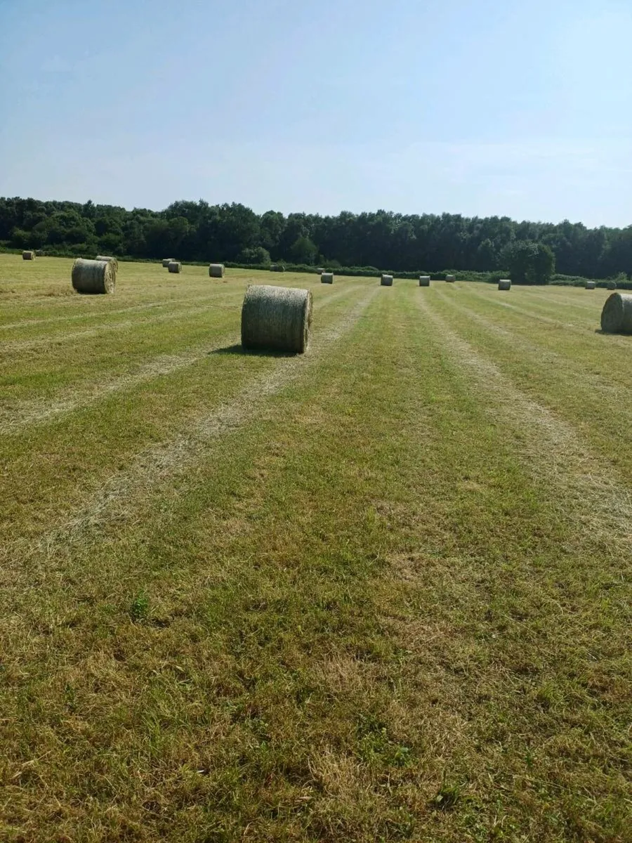Hay⁹ - Image 4