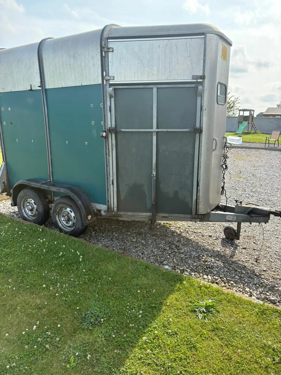 Ifor Williams 505 Hunter Horsebox - Image 2