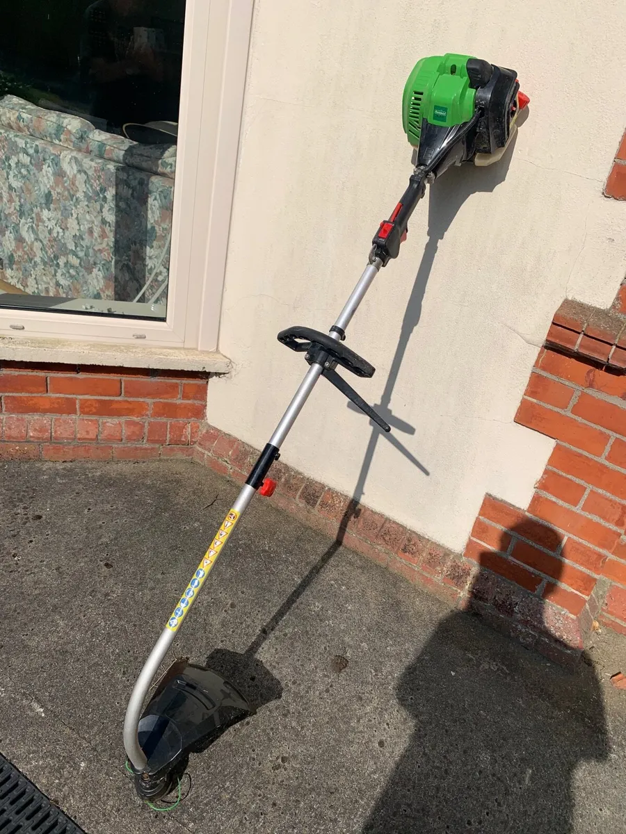 STRIMMER. - Image 1
