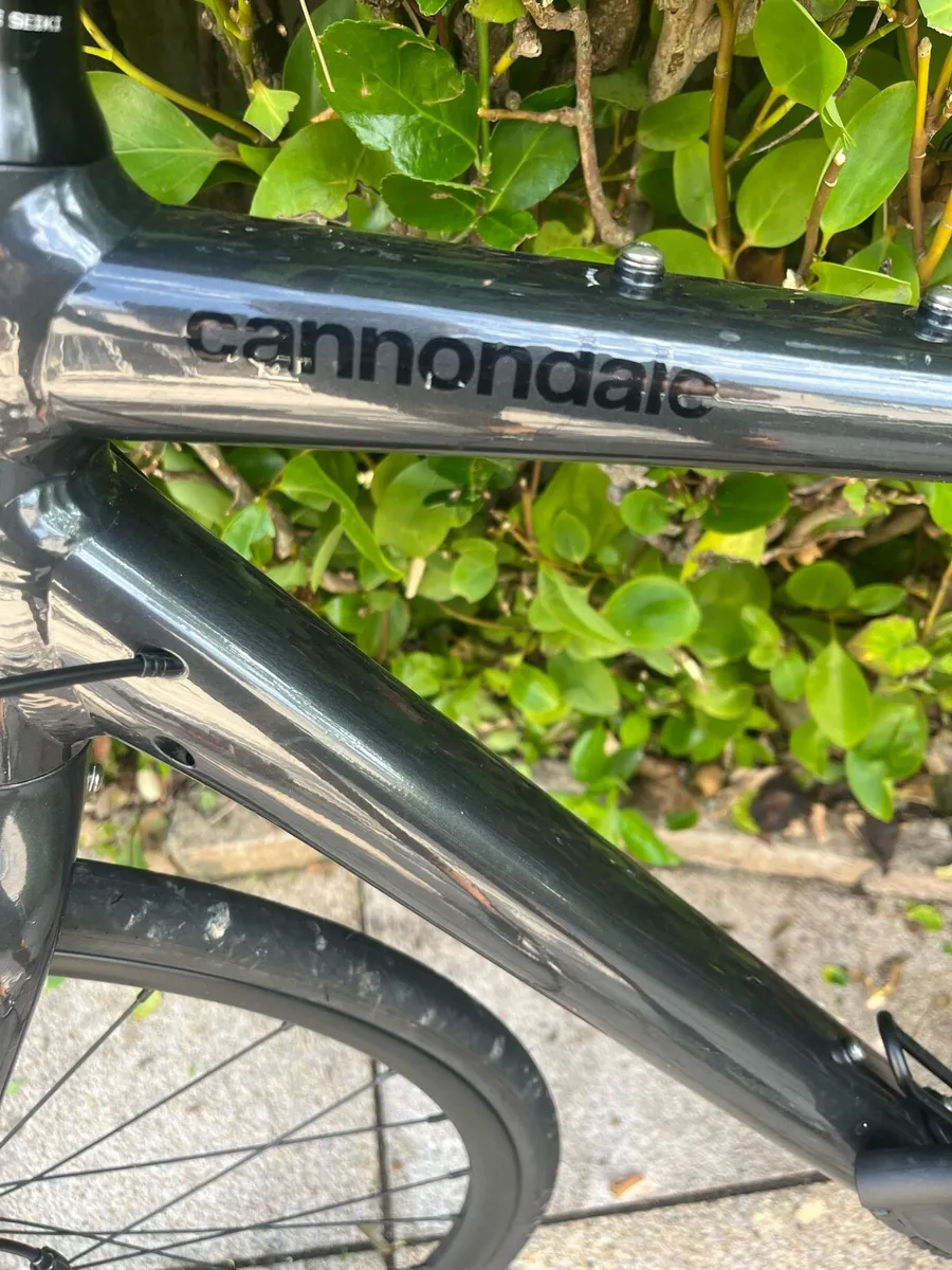 Pushbikes - Image 2
