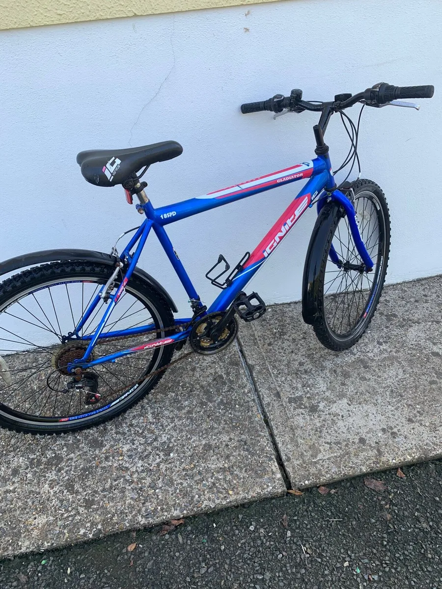 Mountain Bike - Image 1