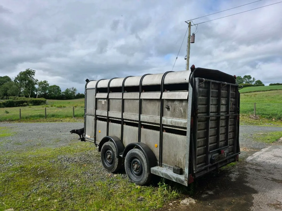 Ifor Williams 12ft Cattle trailer - Image 2