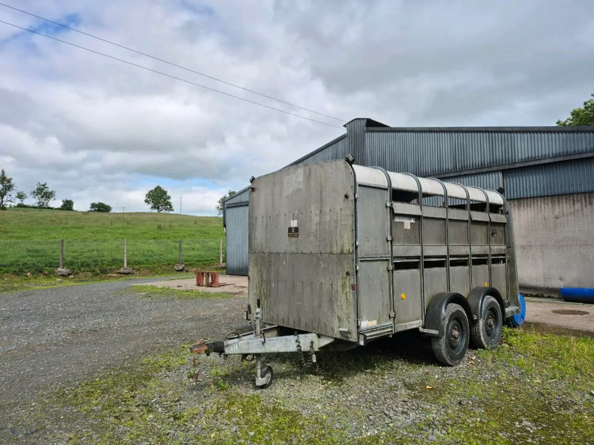 Ifor Williams 12ft Cattle trailer - Image 1