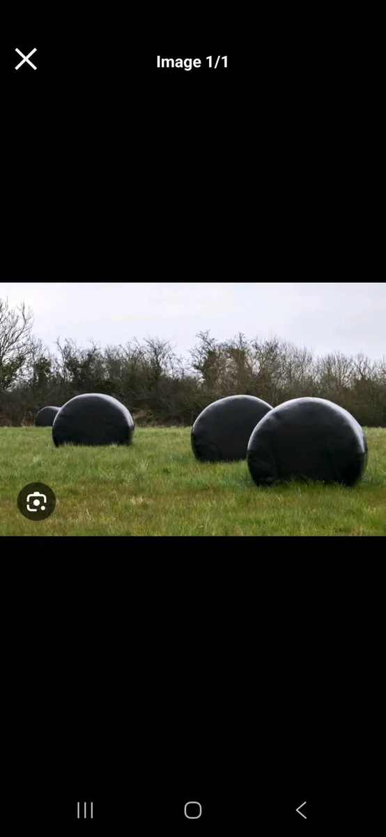 Haylage