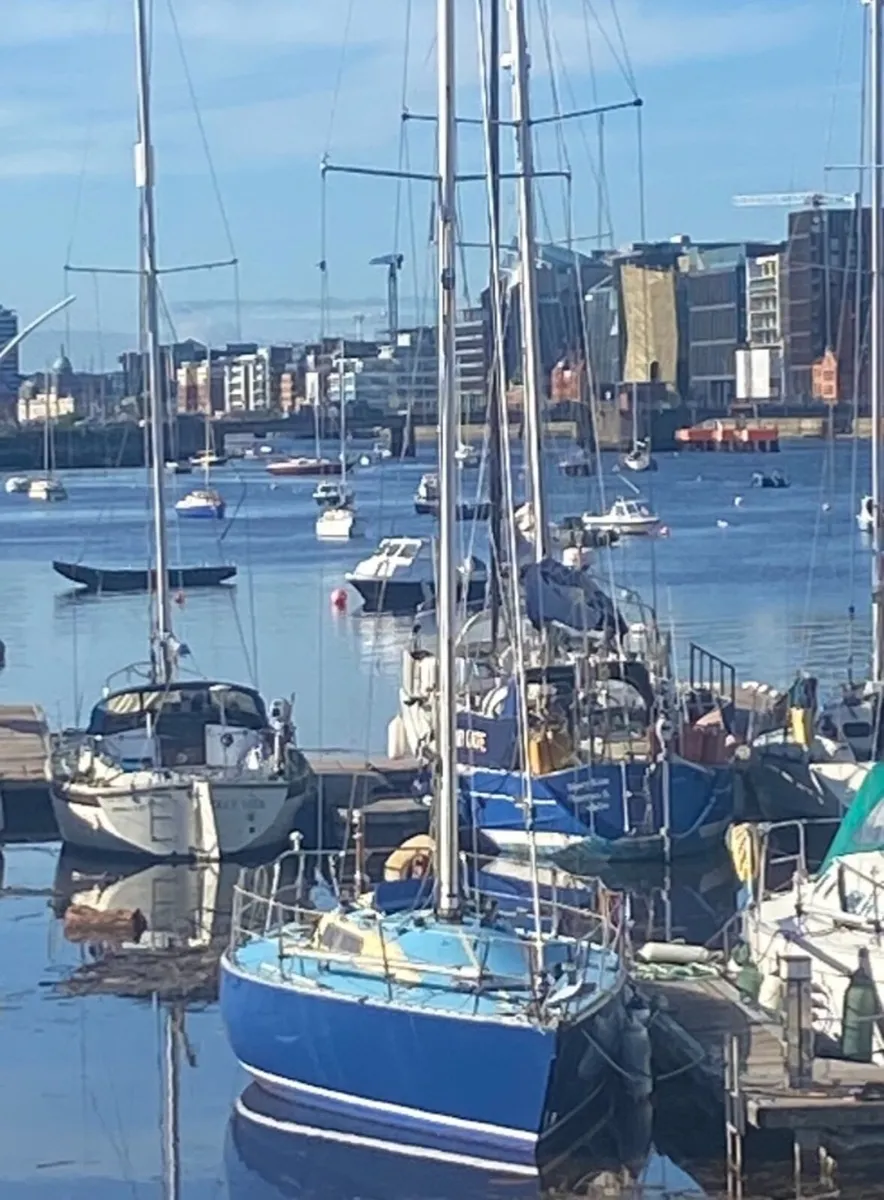 Golden Shamrock yacht, 9mtr - Image 3