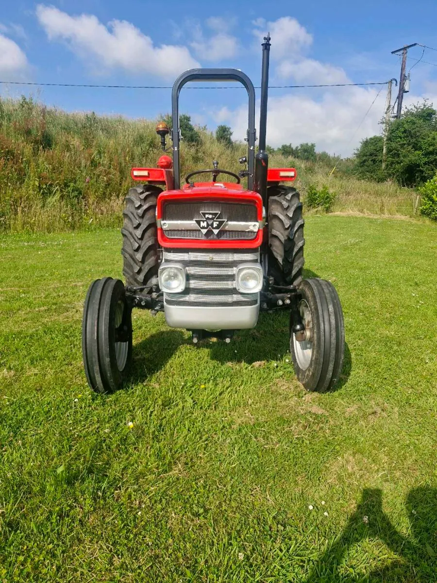 Massey 135 - Image 3