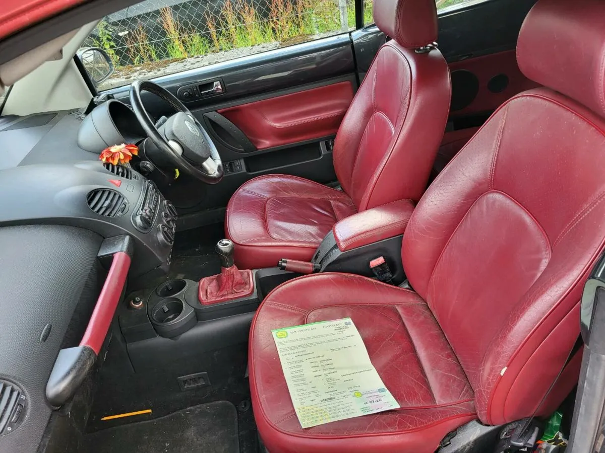 VW Beetle Convertible - Image 4