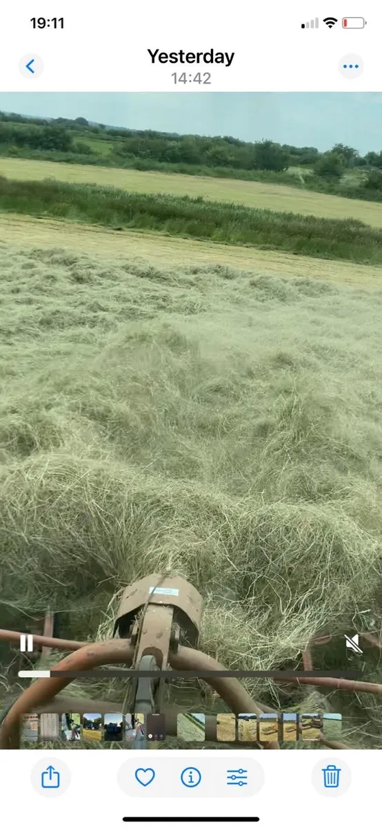 Square bales of hay - Image 2