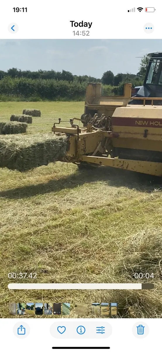 Square bales of hay - Image 3