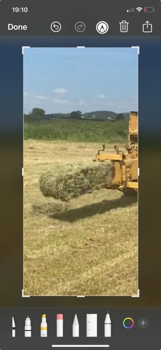 Square bales of hay - Image 4