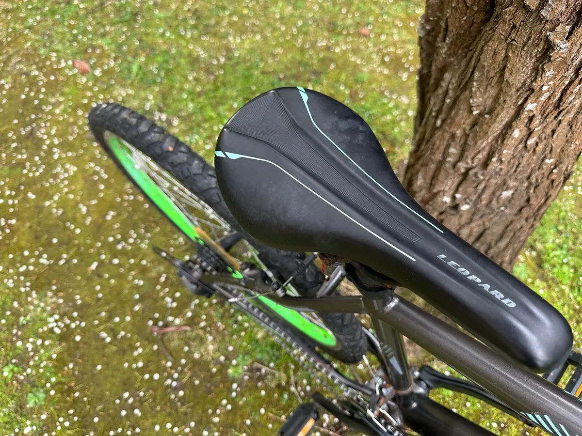 Bike - Image 3