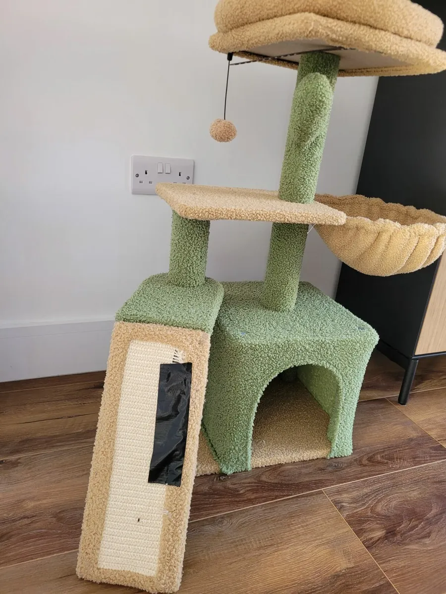 Cat Jungle - Image 1