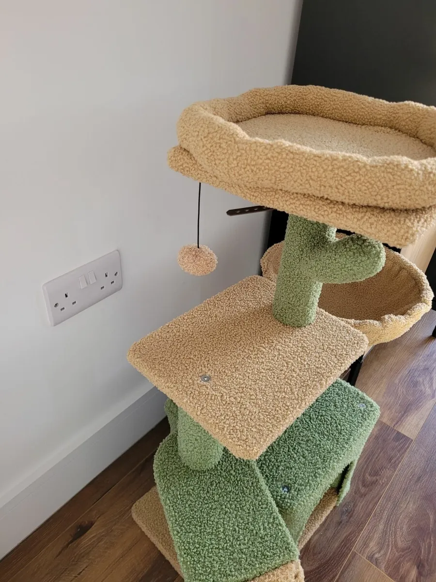 Cat Jungle - Image 2