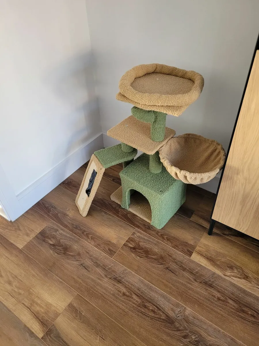 Cat Jungle - Image 3