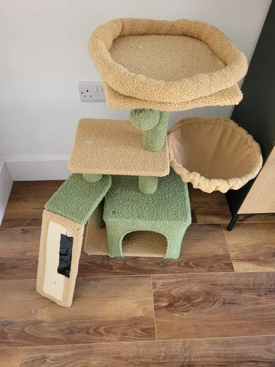 Cat Jungle - Image 4