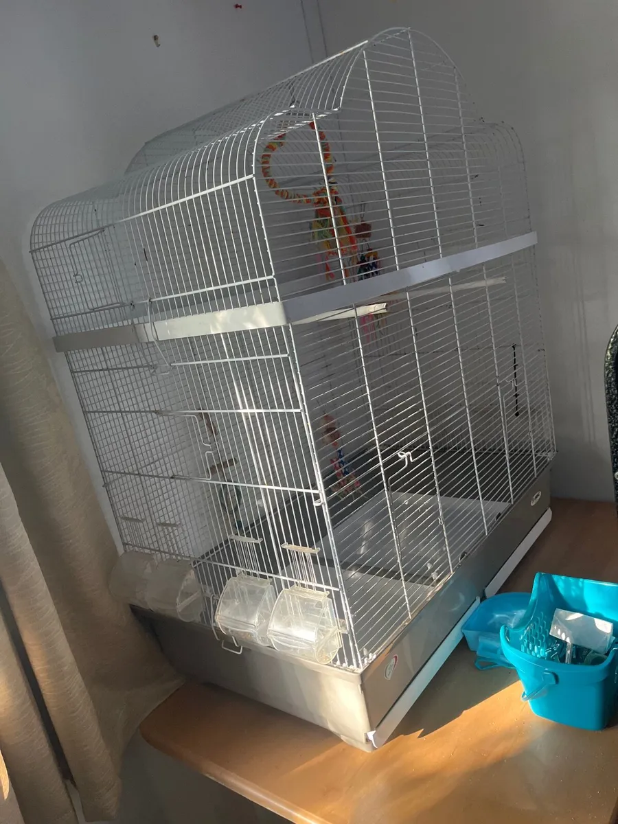 Bird cage - Image 1