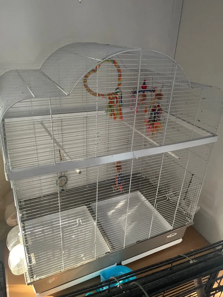 Bird cage - Image 2