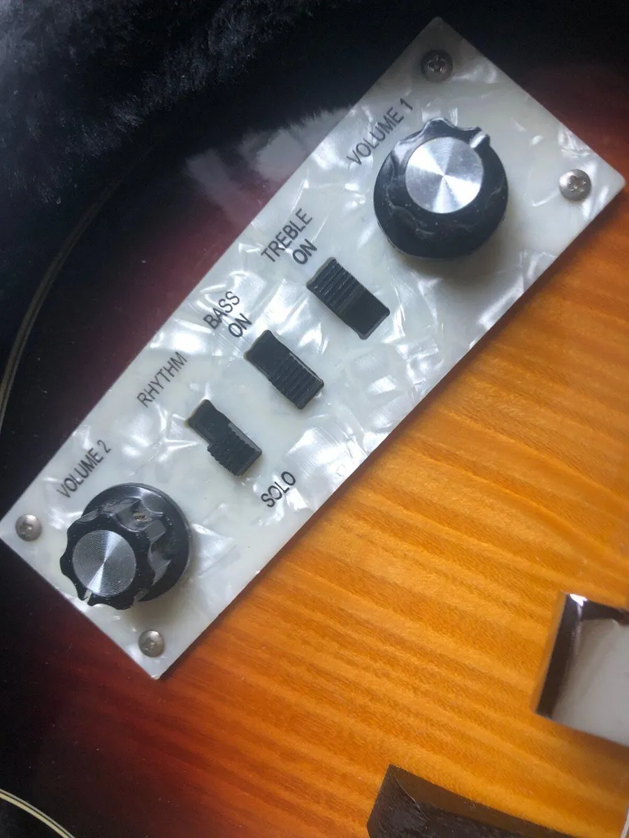 Customised Violin Bass plus Hard Case - Image 3