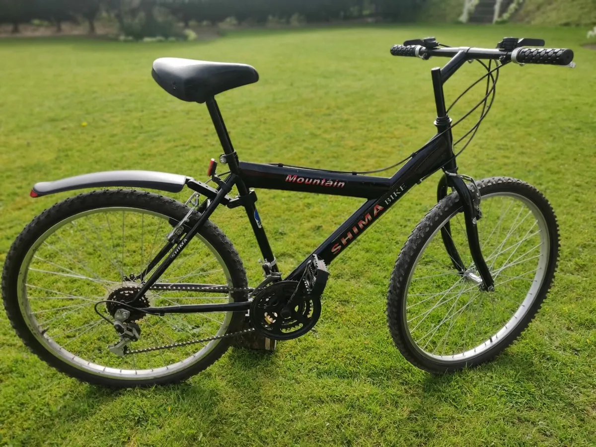 2 Bikes for Sale - Image 3