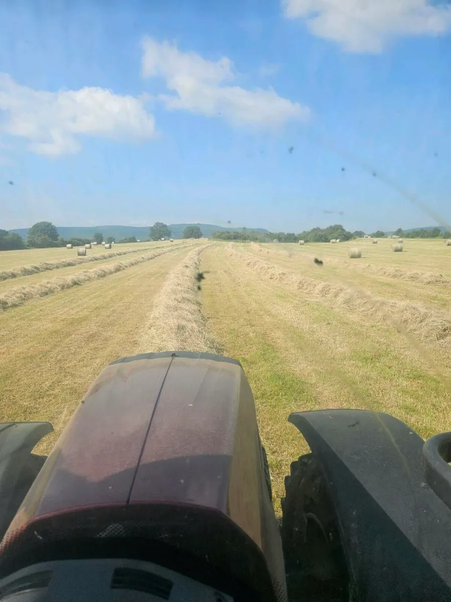 300 hay  bales - Image 1