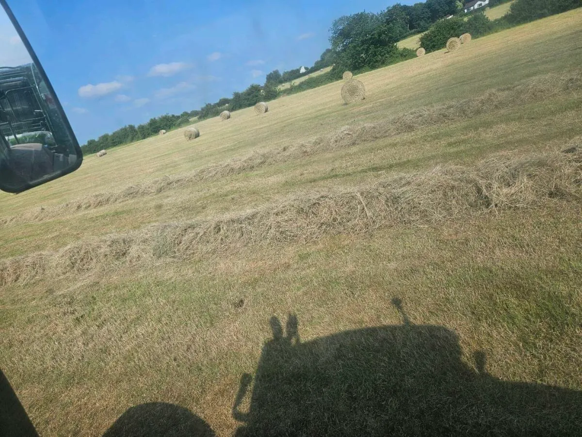 300 hay  bales - Image 2