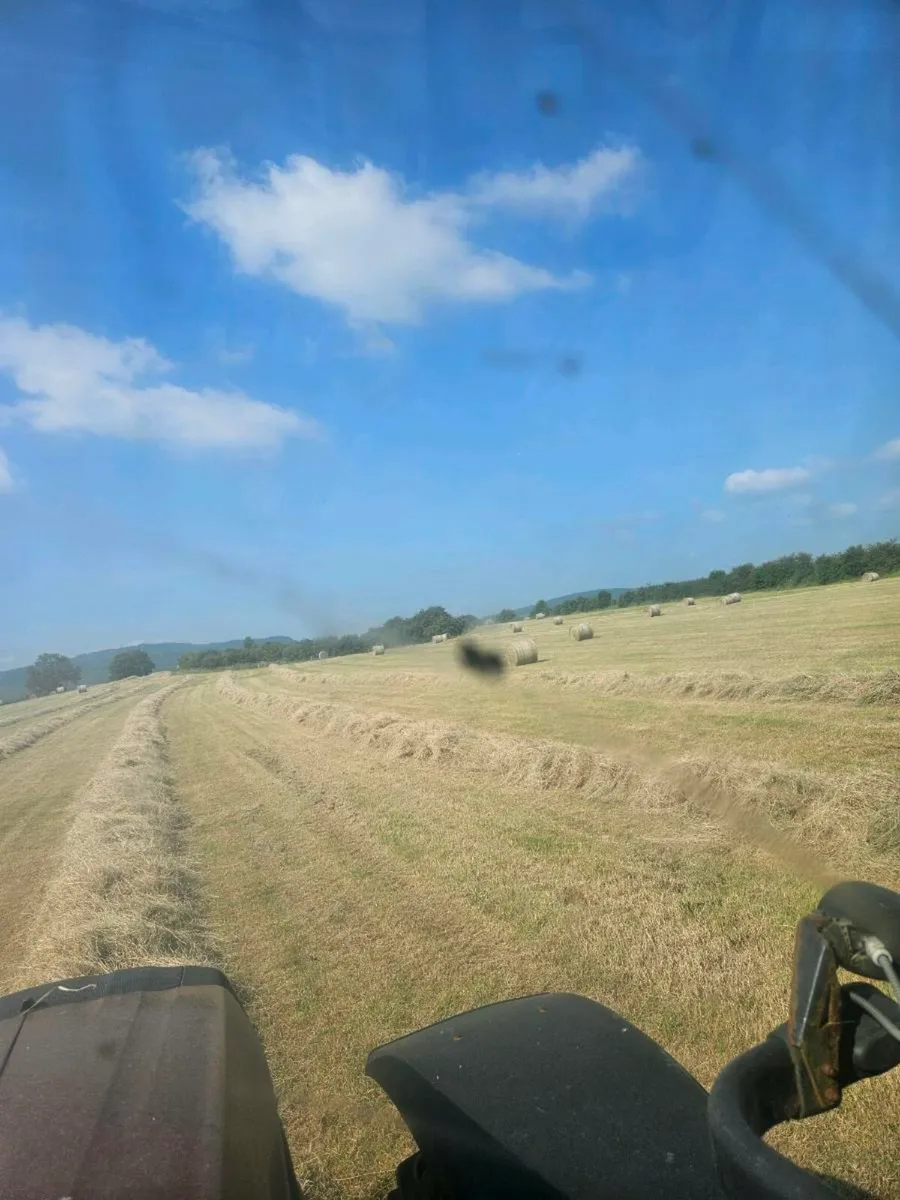 300 hay  bales - Image 3