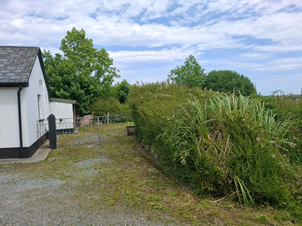 Cottage to rent - Image 3