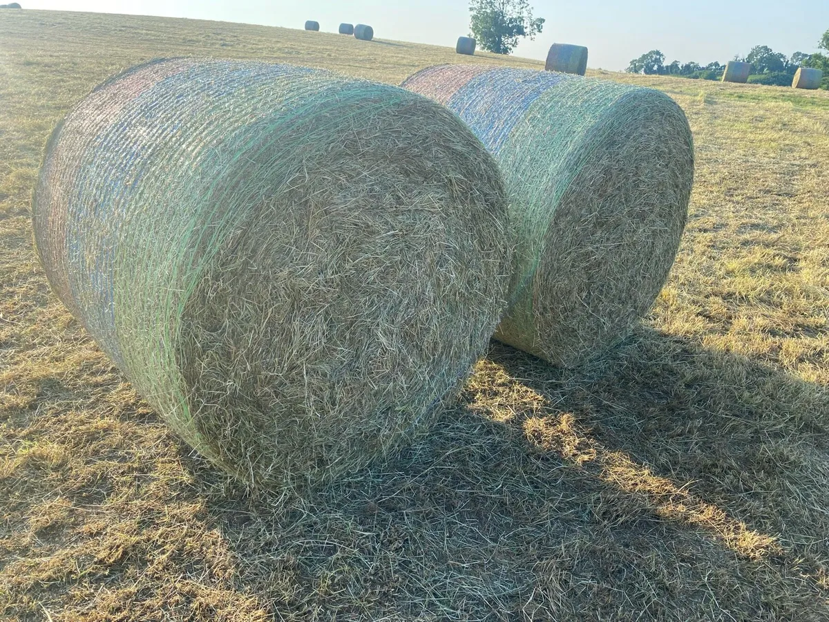 Great quality hay for sale - Image 1