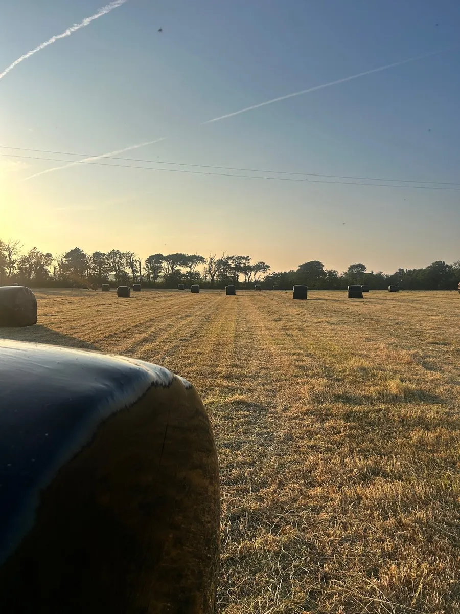 Double Wrapped Haylage For Sale - Image 2