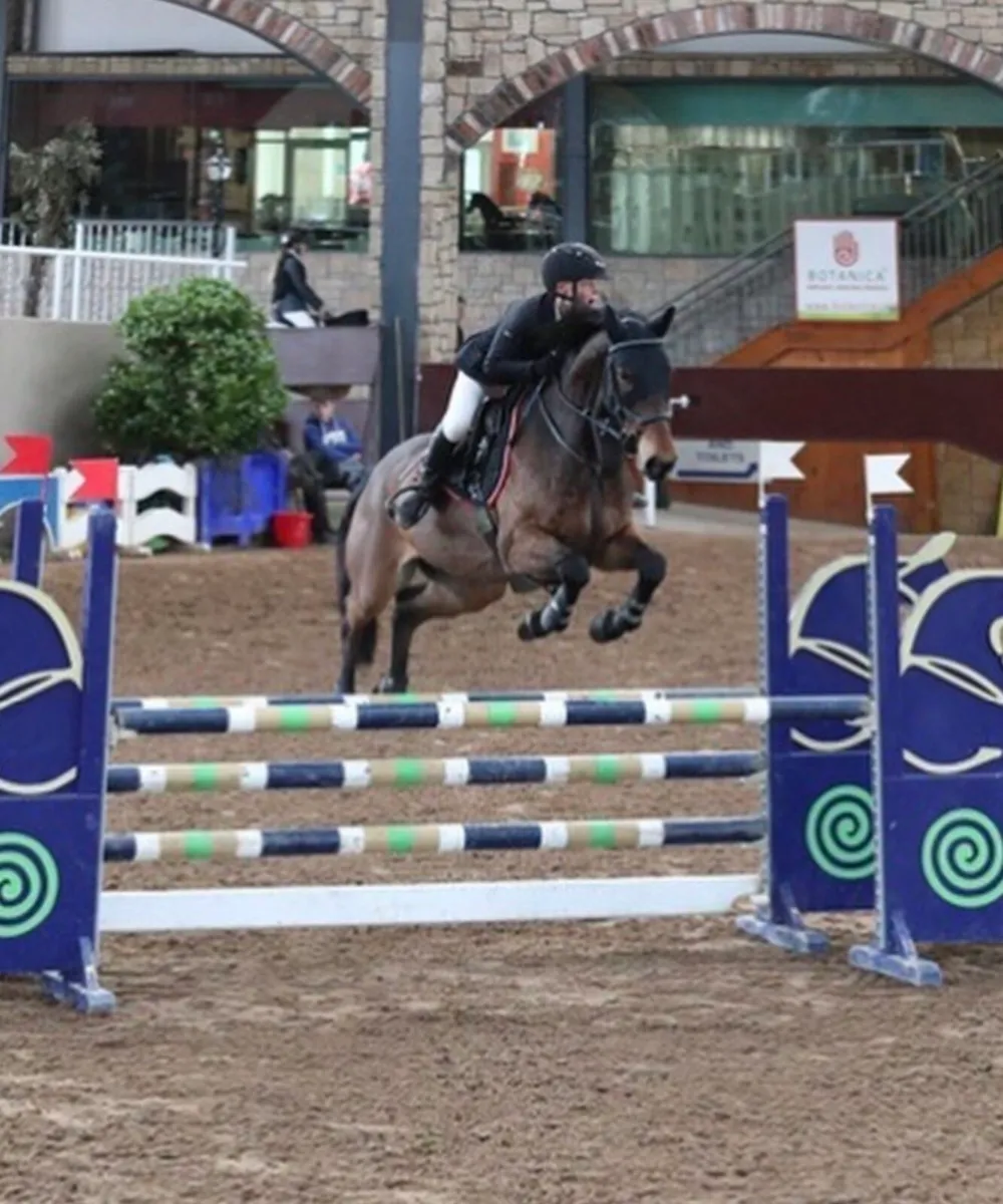 15.2 10 Year Old Showjumping Gelding - Image 3